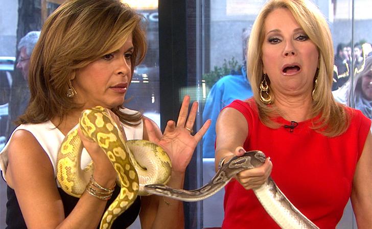 Hoda Kotb and Kathie Lee Gifford