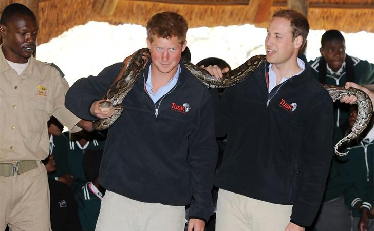 Prince William and Prince Harry